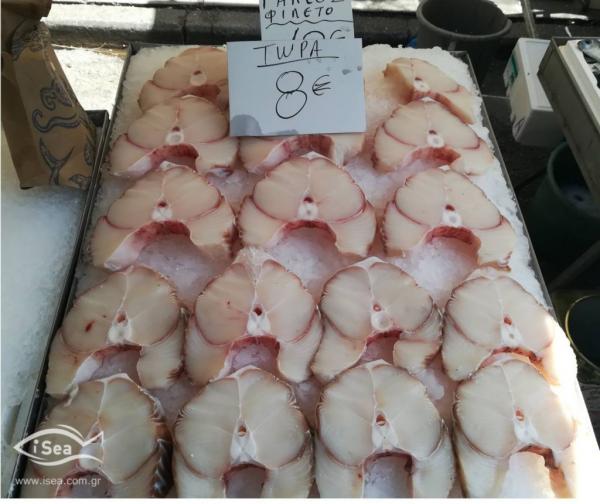 Απειλούμενα είδη όπως οι καρχαρίες στο πιάτο μας – Ποιο ψάρι νομίζουμε ότι τρώμε; (φωτο)