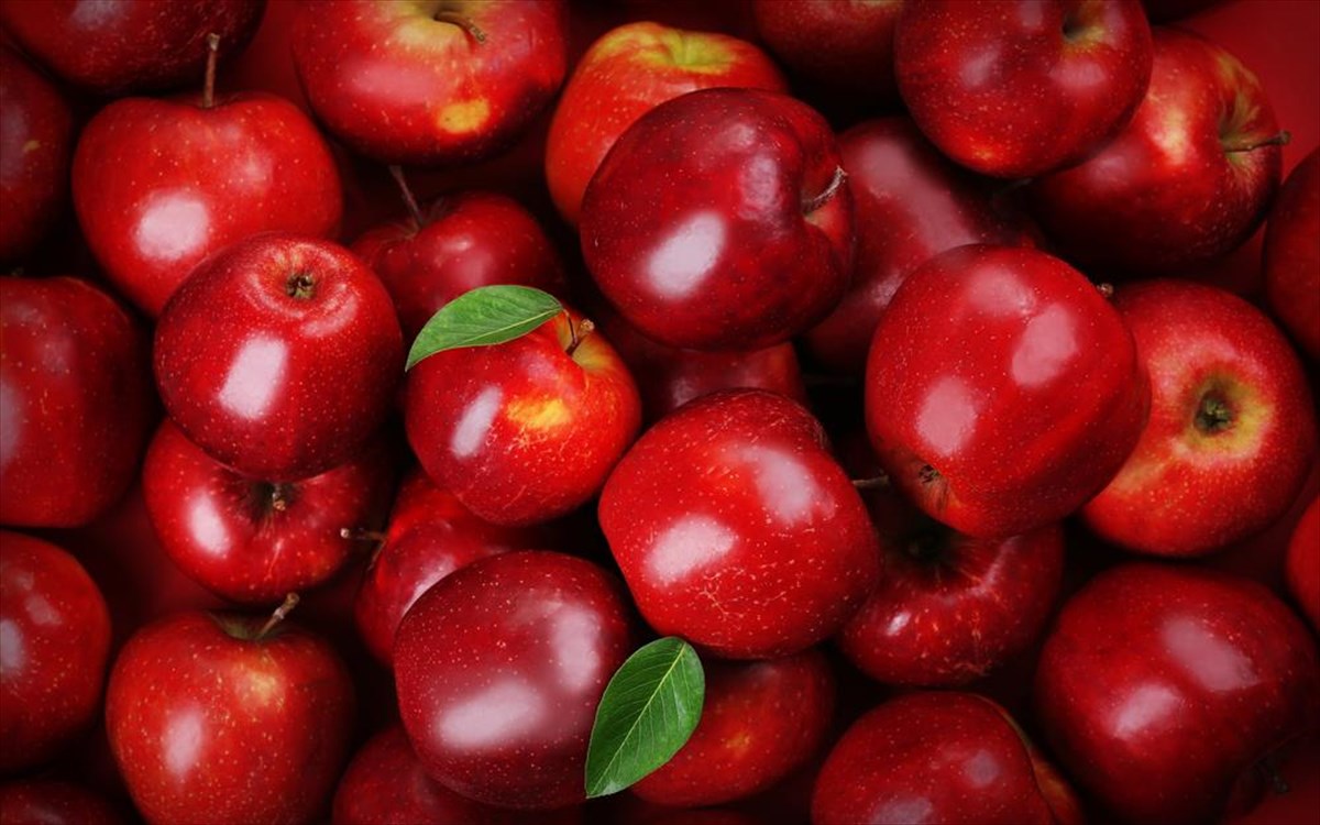 Νέα ποικιλία μήλου αντέχει έως έναν χρόνο στο ψυγείο