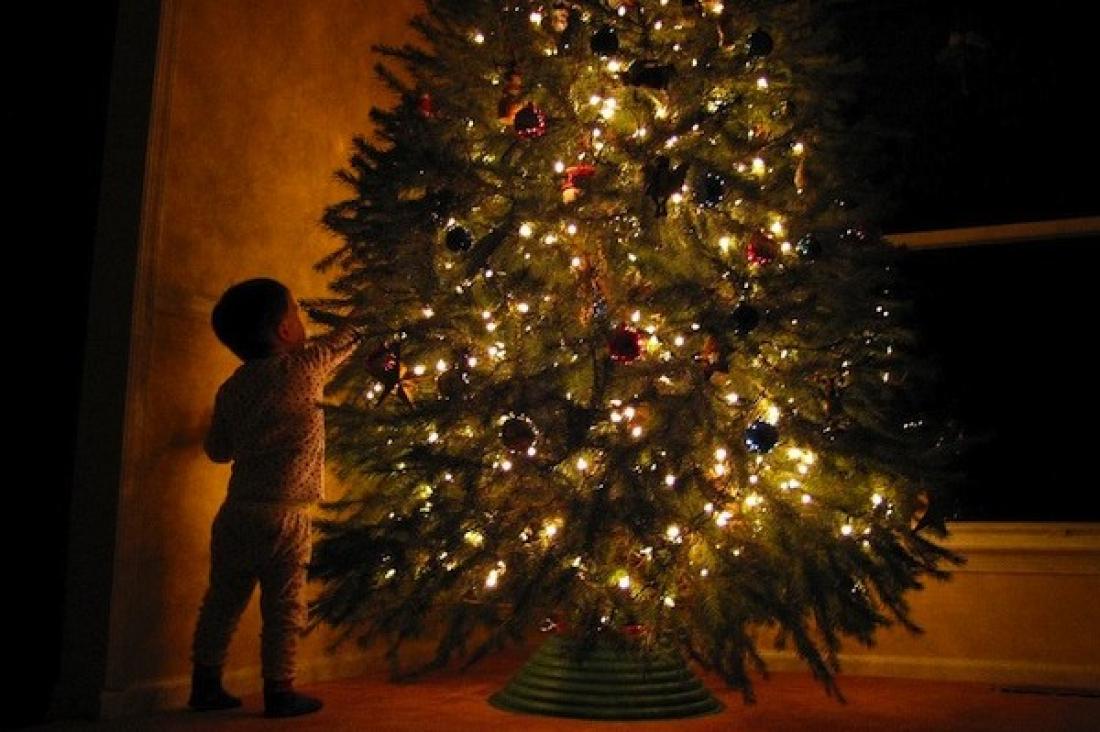Τα λάθη που κάνεις στο στολισμό του χριστουγεννιάτικου δέντρου – Πως να τα αποφύγεις