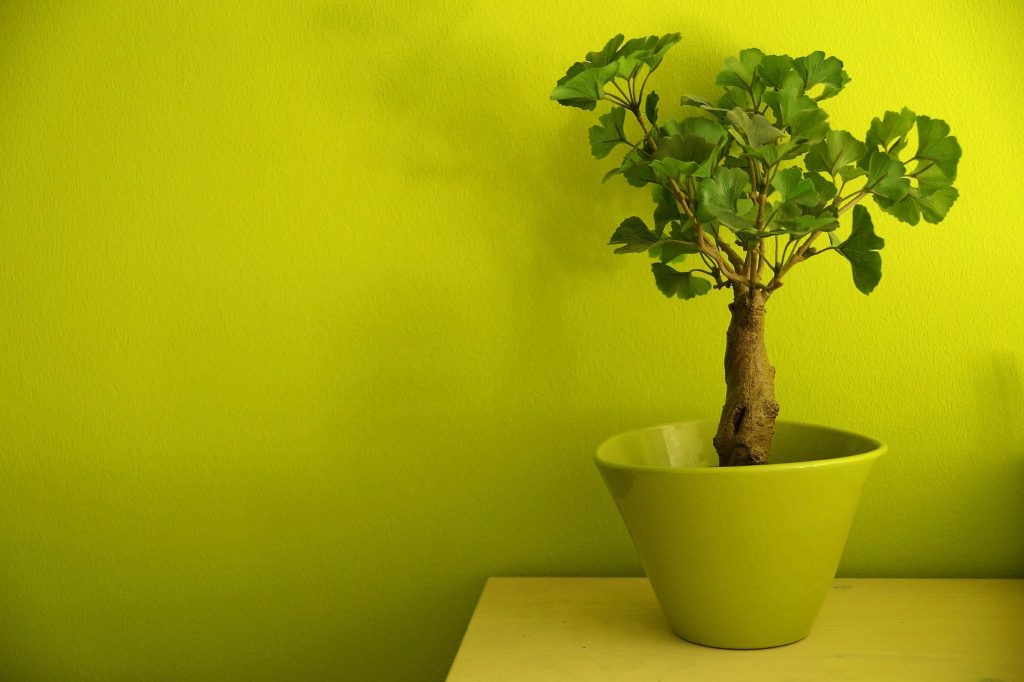 5+1 τρόποι για να διώξετε την κακή ενέργεια από το σπίτι σας