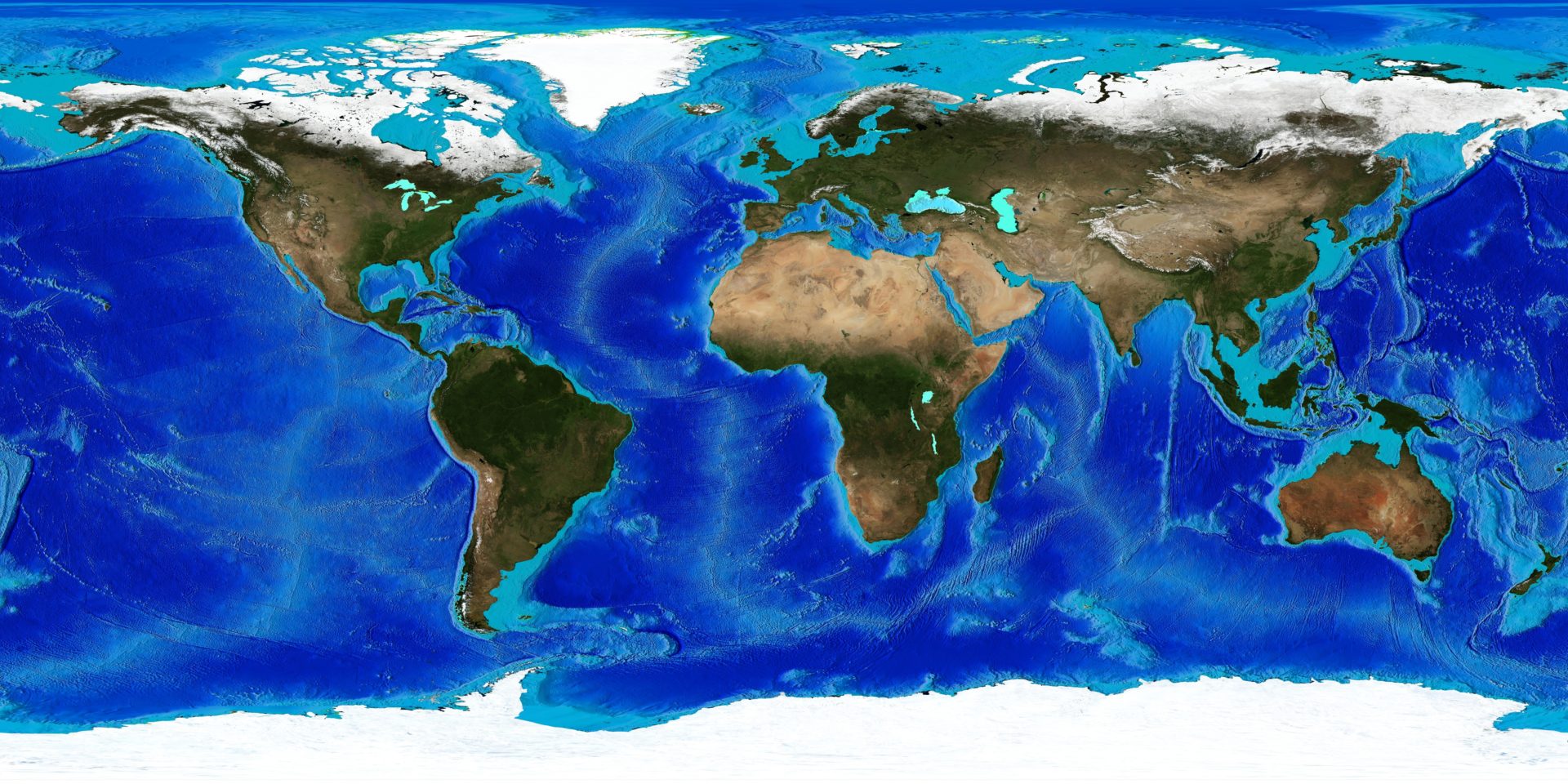 Μειώνεται ολοένα και περισσότερο το οξυγόνο στις θάλασσες – «Αυτή είναι ίσως η τελευταία προειδοποίηση»