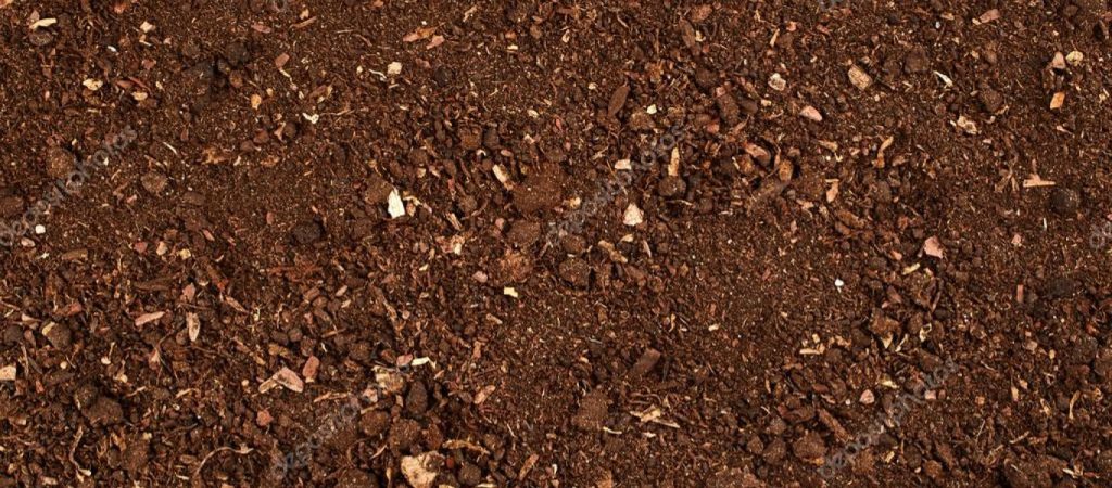 Έχετε αναρωτηθεί; – Αυτός είναι ο λόγος που το χώμα είναι καφέ