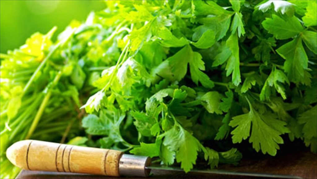 Αυτό είναι το βότανο προστατεύεσαι από καρκίνο και διαβήτη!