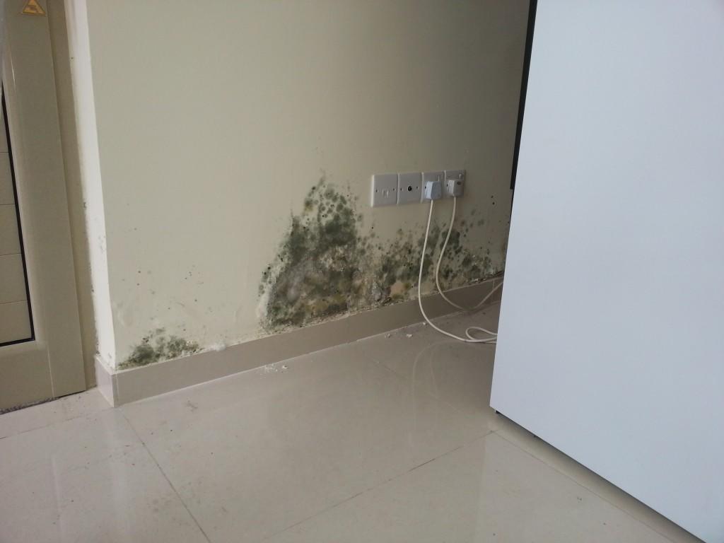 Αυτές είναι οι 2+1 συμβουλές για να προστατέψετε το σπίτι σας από την υγρασία