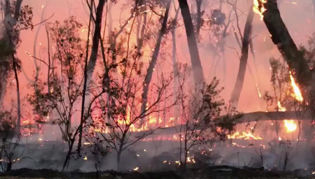 Αυστραλία: Τοξικό νέφος από τις φωτιές έχει «σκεπάσει» τη χώρα – «Πνίγονται» οι κάτοικοι