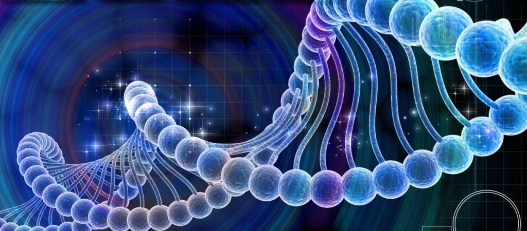 Και όμως έγινε: Επιστήμονες δημιούργησαν… γουρουνοπίθηκο (φώτο)