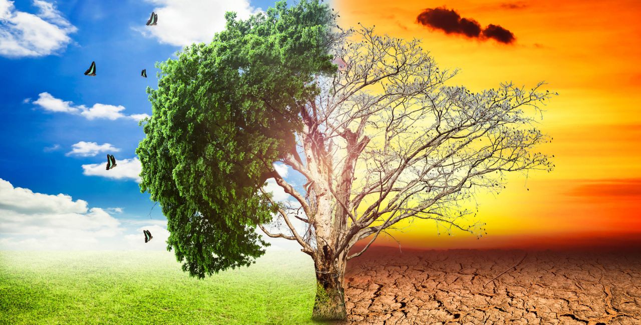 Κλιματική αλλαγή: «Δεν αυξάνεται μόνο η θερμοκρασία αλλά αλλάζει και η σύσταση της ατμόσφαιρας»