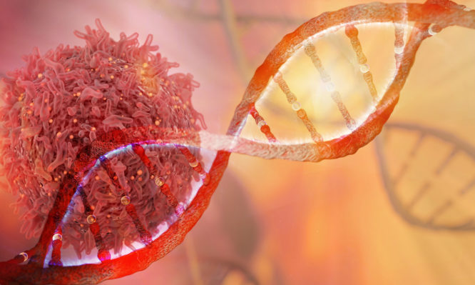Νέο τεστ αίματος ανιχνεύει το DNA από 8 είδη καρκίνου!