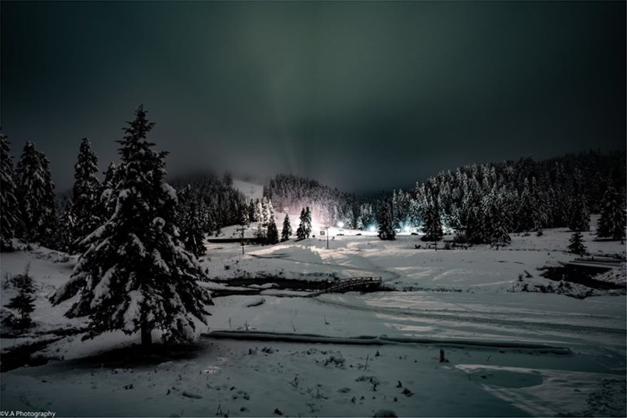 Τρίκαλα: To χιόνι κάλυψε τα δέντρα – Όμορφες εικόνες από την περιοχή (φωτο)