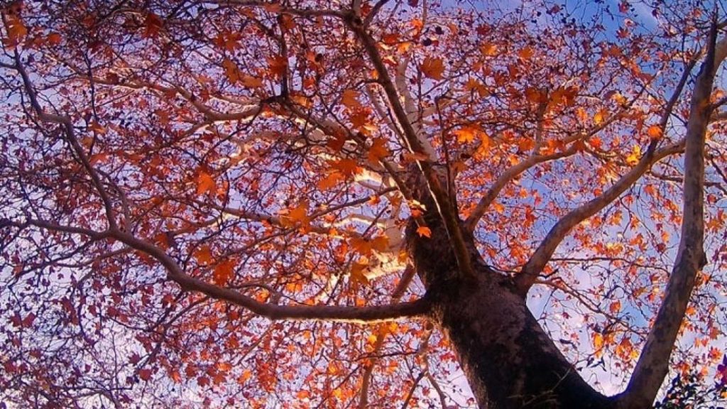 Καιρός: Στους 20 βαθμούς το θερμόμετρο – Αναλυτική πρόγνωση για την Τρίτη