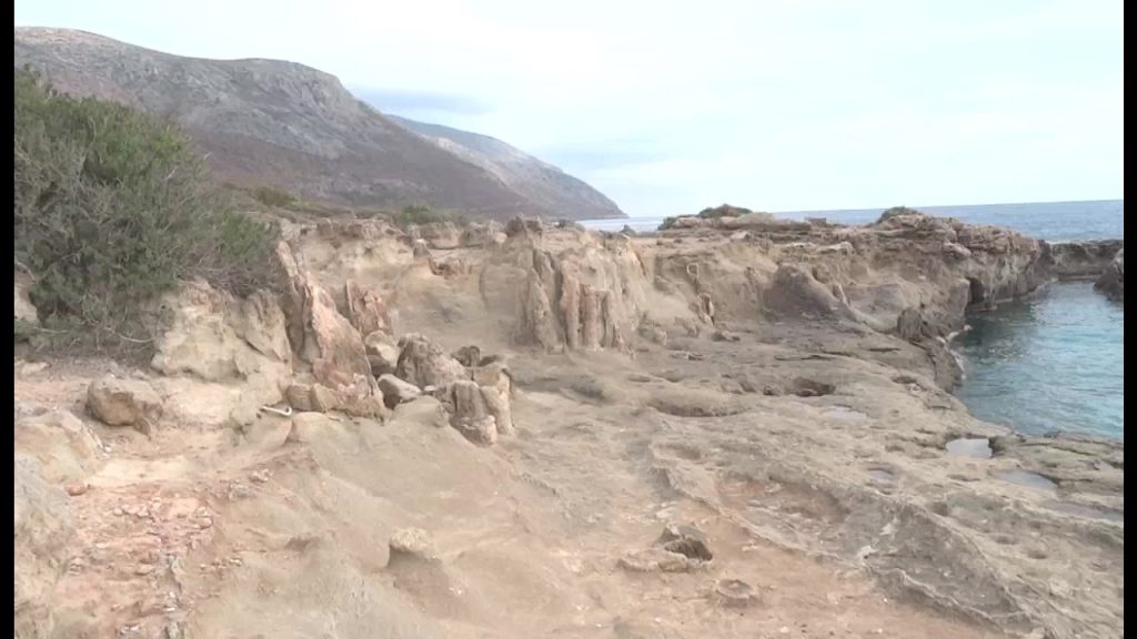 Το αρχαιότερο απολιθωμένο δάσος του κόσμου – Με ηλικία περίπου 386 εκατομμυρίων χρόνων (φωτο)