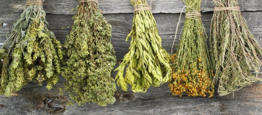 Το καλύτερο βότανο για την προστασία και αποτοξίνωση του ήπατος