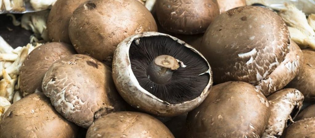 Τελικά πόσο υγιεινά είναι τα μανιτάρια; (βίντεο)