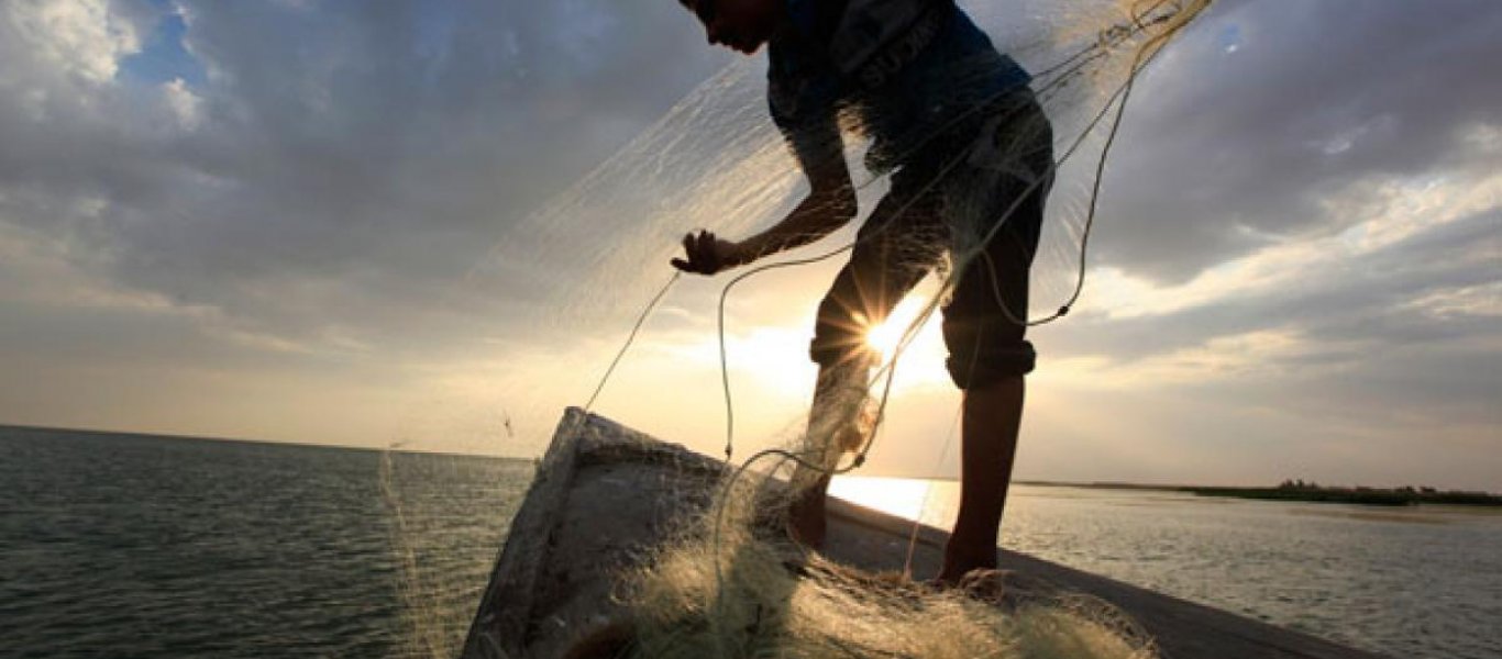 Σούδα: Ψαράδες έβγαλαν λαγοκέφαλο βάρους 9,5 κιλών (φώτο)