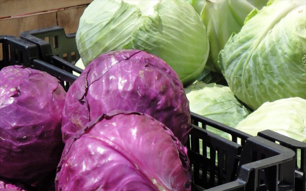 Λάχανο: Το φάρμακο του Πυθαγόρα και τα οφέλη του στην υγεία