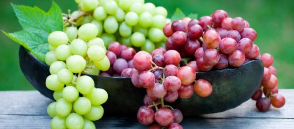 Το γνωρίζατε; – Δείτε τι σημαίνει η φράση «Περσινά ξινά σταφύλια»