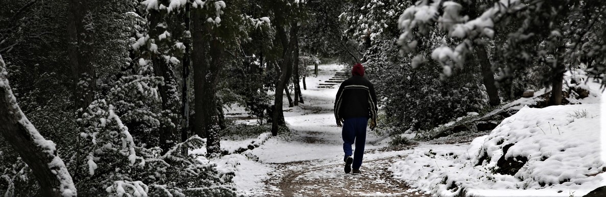 Καιρός: Έρχεται η κακοκαιρία «Ζηνοβία» – Σε θερμοκρασίες 8 έως -10 βαθμούς Κελσίου η Κυριακή και η Δευτέρα (βίντεο)
