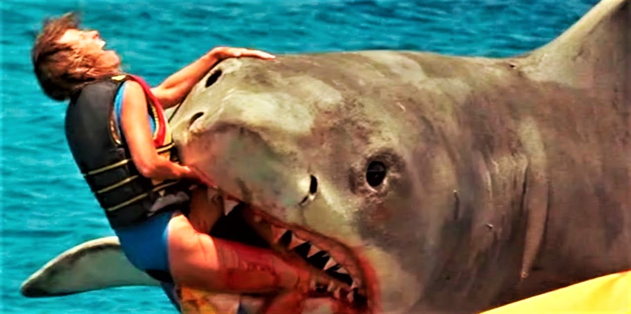 Ψαροντουφεκάς στα σαγόνια ενός λευκού καρχαρία: «Σώθηκα από θαύμα»