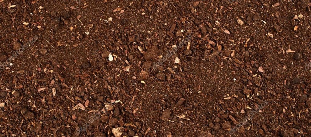 Εσύ το ήξερες; – Γιατί το χώμα είναι καφέ;