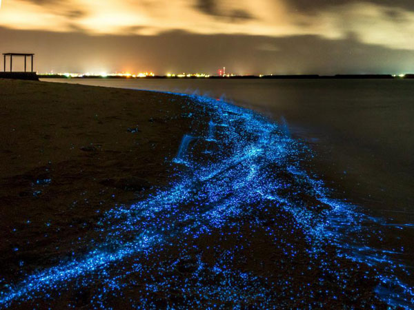 Δέκα παράδοξα φαινόμενα της φύσης που θα σας αφήσουν με το στόμα «ανοιχτό»