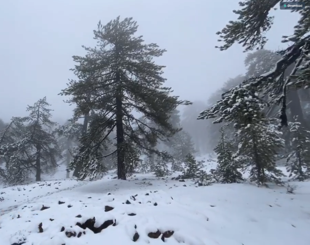 Κύπρος: Μαγευτικές εικόνες από το χιονισμένο Τρόοδος