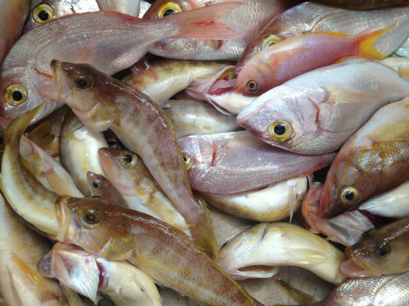 Mε αυτήν την τροφή μειώνετε τον κίνδυνο για καρκίνο παχέος εντέρου