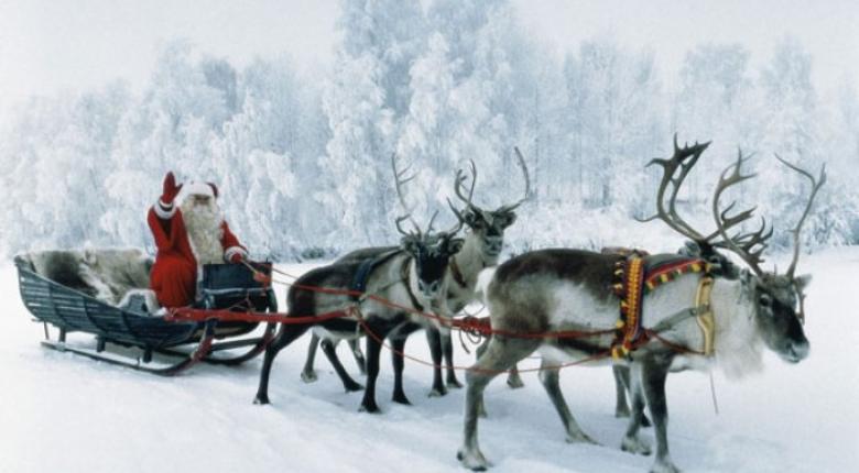 Το ξέρετε ότι οι τάρανδοι του Άγιου Βασίλη είναι θηλυκού γένους;