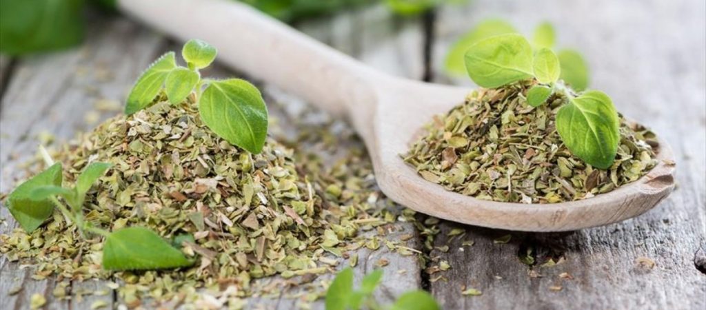 Ρίγανη και ριγανέλαιο: Αυτές είναι οι ωφέλιμες ιδιότητές τους
