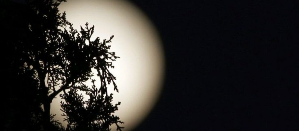 Έκλειψη παρασκιάς στην «πανσέληνο του λύκου» την Παρασκευή – Το φαινόμενο θα είναι ορατό και από την Ελλάδα