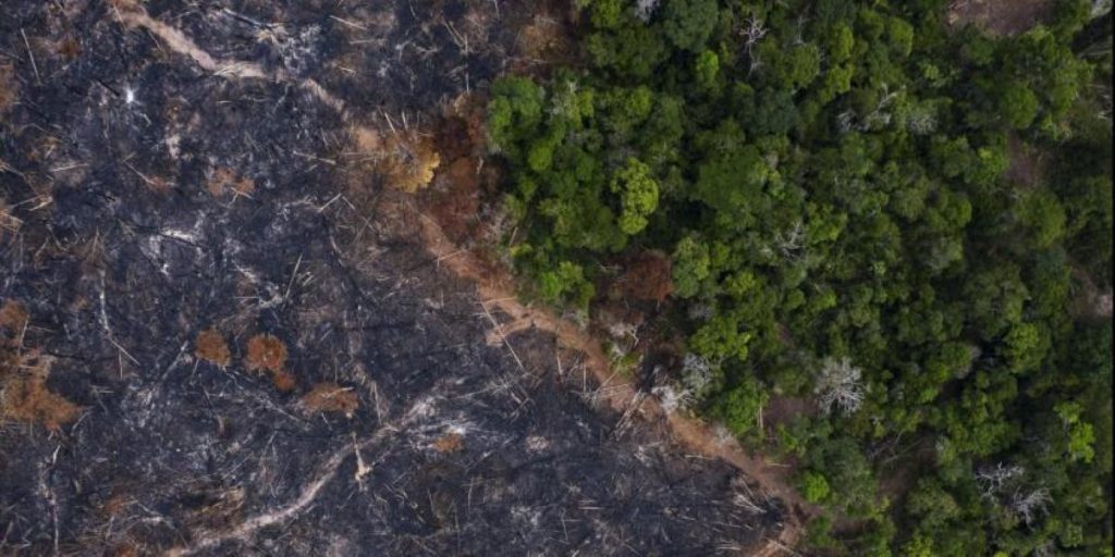 Σήμα κινδύνου εκπέμπει ο πλανήτης: Πρωτόγνωρη αύξηση των πυρκαγιών στον Αμαζόνιο το 2019