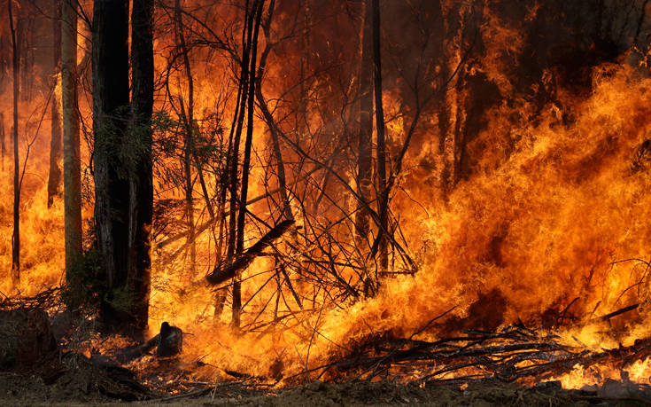 Αυστραλία: Οι στρατιώτες κάνουν έκκληση στους πολίτες να απομακρυνθούν άμεσα από τις πληγείσες περιοχές