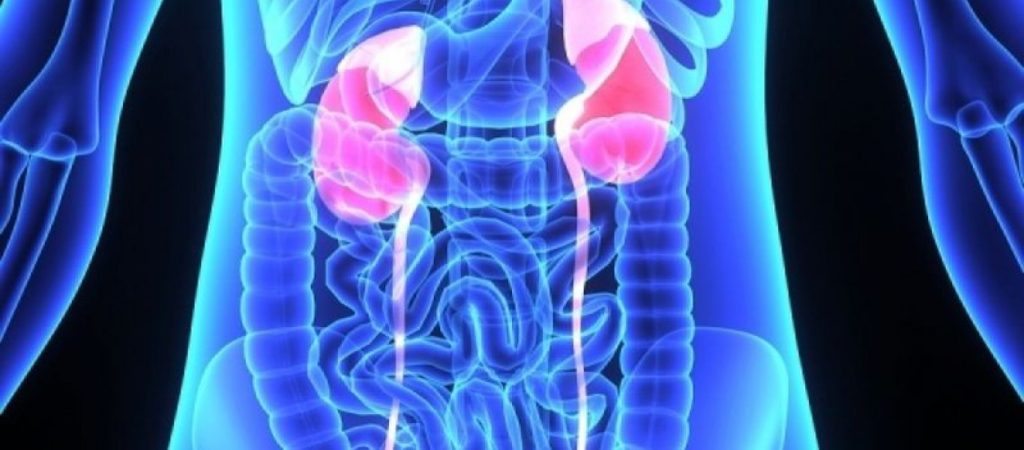 Προσοχή: Αυτές είναι οι τροφές «δηλητήριο» που καταστρέφουν τα νεφρά