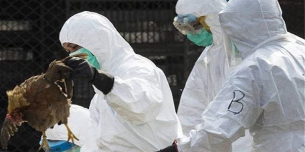 Ανησυχία στην Ουγγαρία: Δύο κρούσματα γρίπης των πτηνών σε μία εβδομάδα