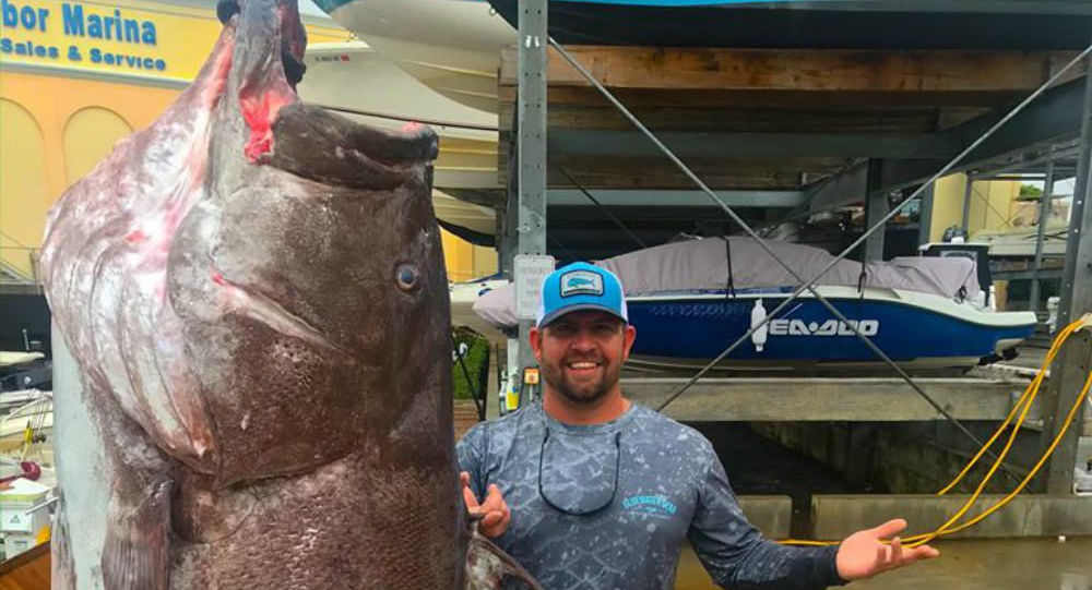 Αμερικανός ψαράς έπιασε τεράστια σφυρίδα 158 κιλών! (φωτό)
