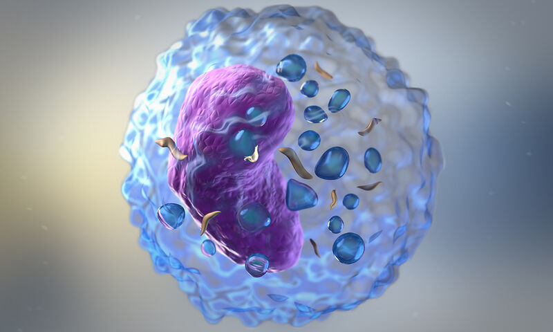 Tι είναι η λεμφοπενία; – Πόσο εύκολα αντιμετωπίσιμη είναι;