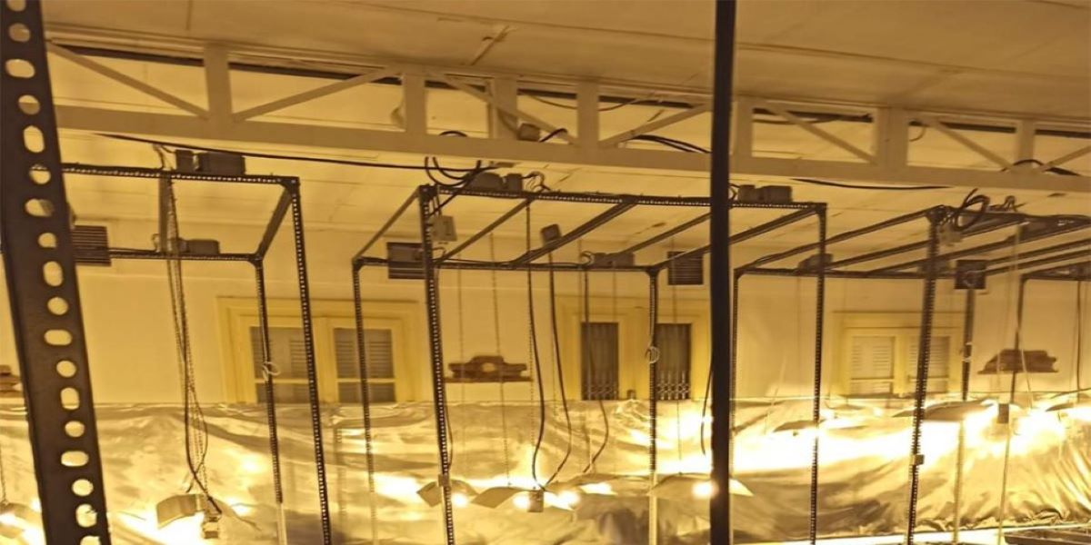 Αττική: «Λουκέτο» της ΕΛ.ΑΣ. σε τρία υπερσύγχρονα εργαστήρια παραγωγής κάνναβης (φώτο – βίντεο)