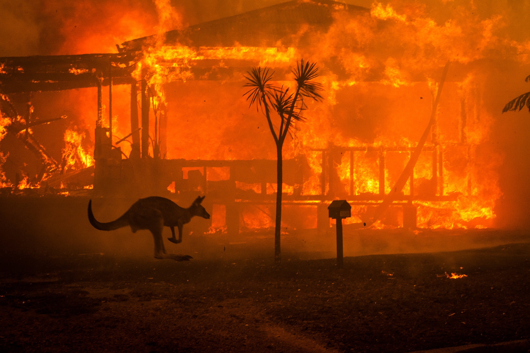 Οι καταιγίδες σώζουν την Αυστραλία σβήνοντας τις φωτιές