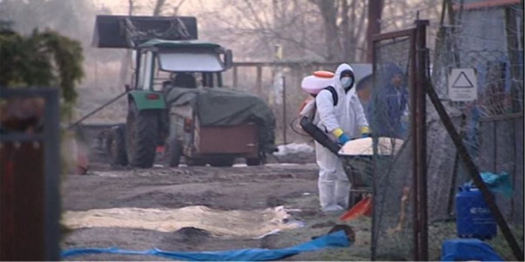 Γρίπη των πτηνών: Μέτα την Ουγγαρία κρούσματα και στην Τσεχία