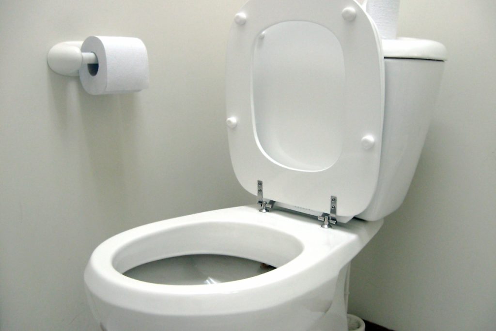 Ρίχνει σε ένα λεμόνι χοντρό αλάτι και το στύβει στην λεκάνη της τουαλέτας – Δεν φαντάζεστε το αποτέλεσμα (βίντεο)