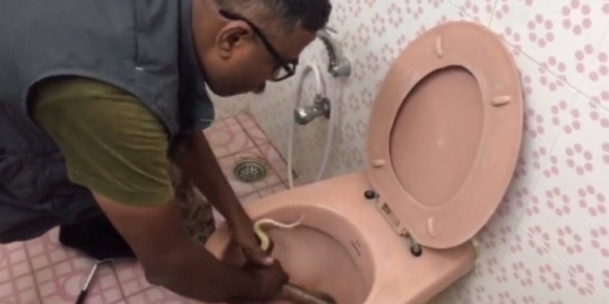 Ινδία: Άντρας βρέθηκε αντιμέτωπος με κόμπρα 1,5 μέτρου στην… τουαλέτα του (βίντεο)