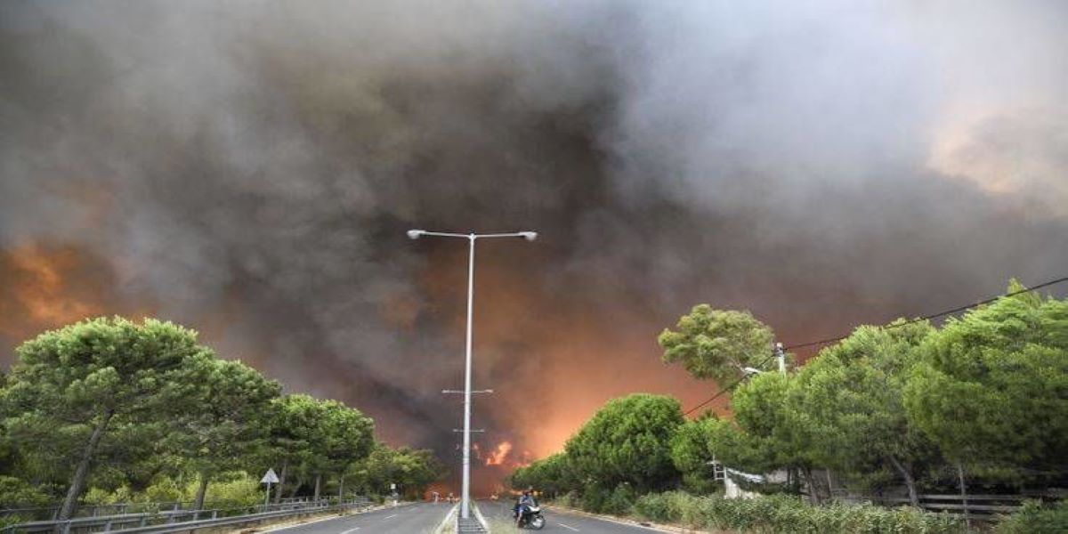Αξιέπαινη πράξη από μαθητές στη Πεντέλη: Αναδασώνουν το σημείο όπου ξεκίνησε η φονική πυρκαγιά του 2018