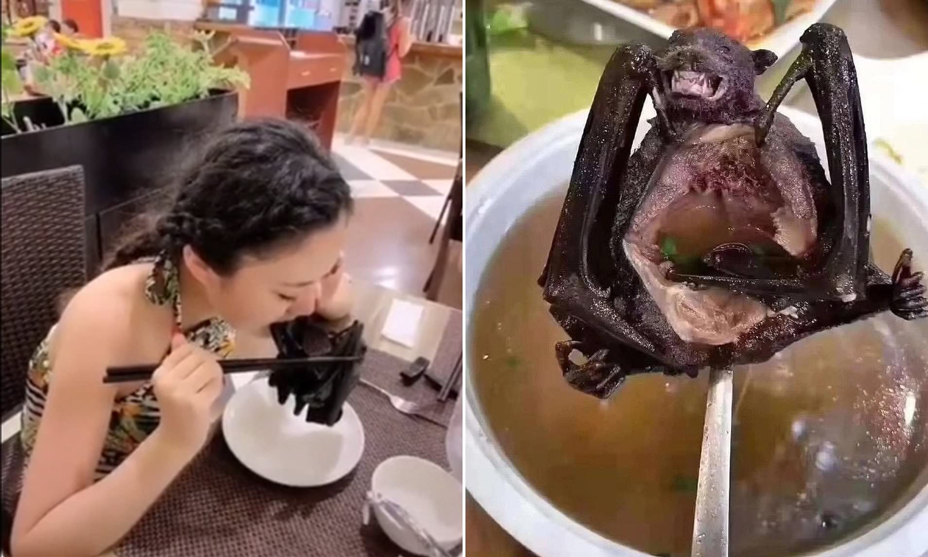 Κινέζα τρώει… νυχτερίδα πιθανό φορέα κοροναϊού σε εστιατόριο (βίντεο)