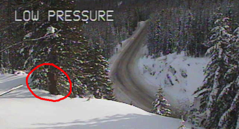 Κρατική υπηρεσία στις ΗΠΑ εντόπισε τον Μεγαλοπόδαρο στο δάσος (βίντεο)