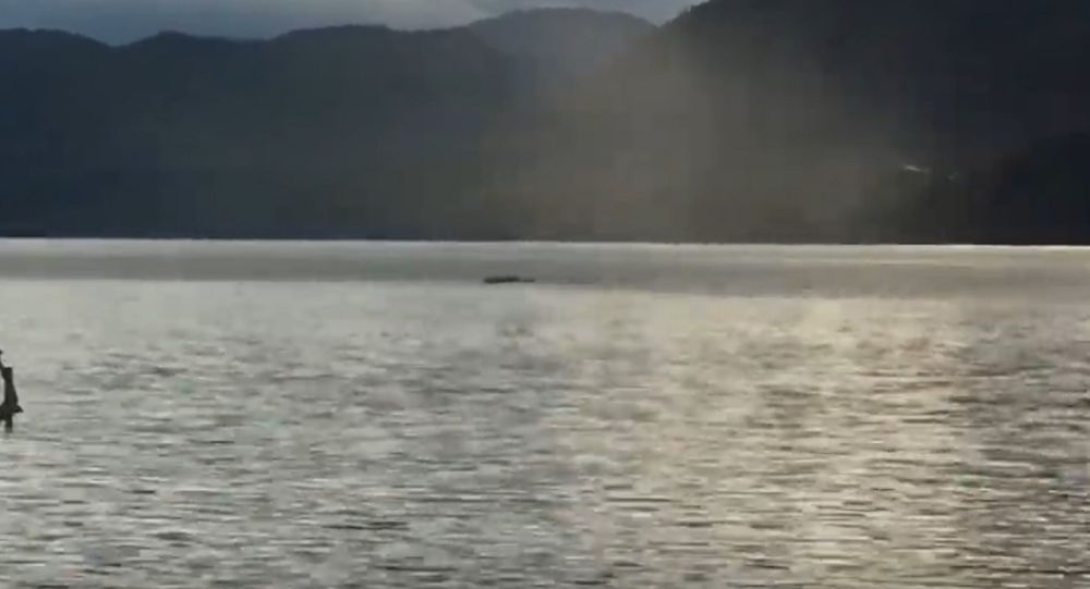 Πατέρας και γιός είχαν πάει για ψάρεμα και… είδαν το Καναδικό τέρας του Λοχ Νες! (βίντεο)