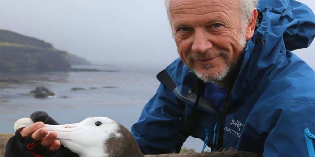 Μετέτρεψαν εξωτικά πουλιά σε… drone παρακολούθησης για την καταπολέμηση της παράνομης αλιείας