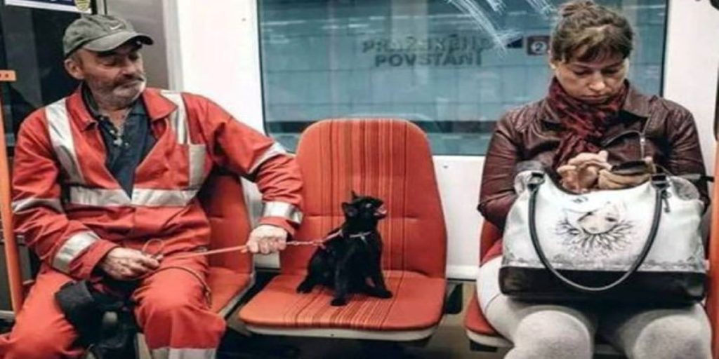 Αυτοί είναι οι πιο περίεργοι συνεπιβάτες που μπορεί να συναντήσουμε στα μέσα μεταφοράς (φώτο)