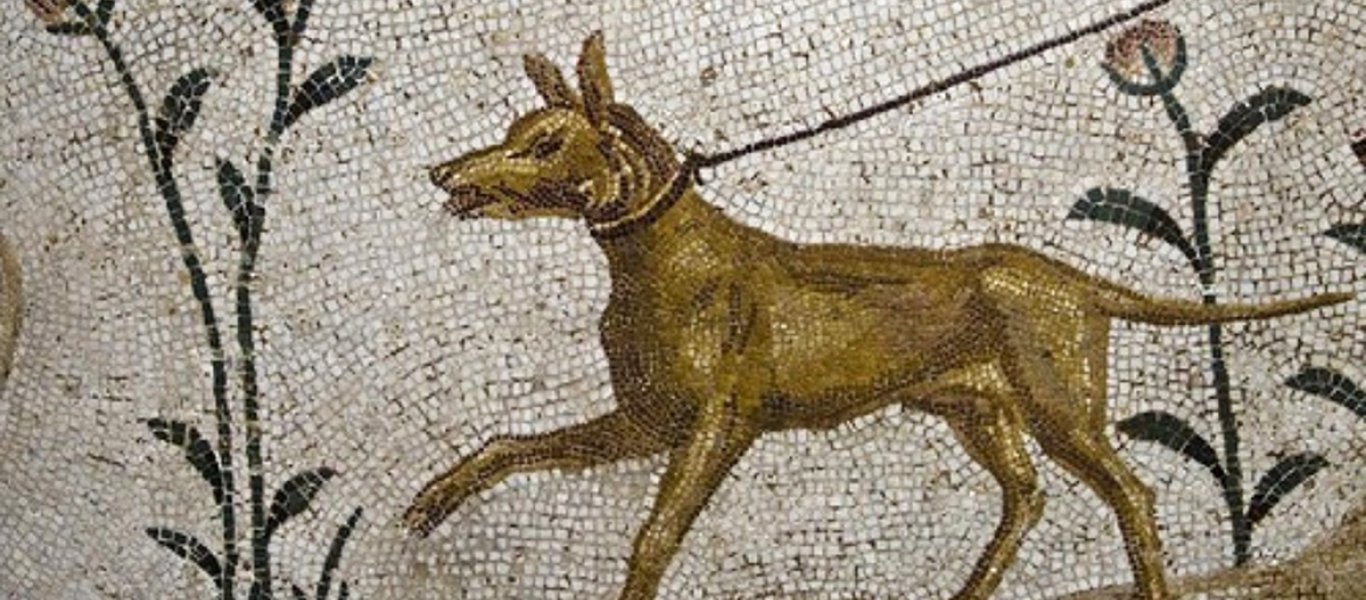Το γνωρίζατε; – Ποια ονόματα έδιναν στα σκυλιά τους οι αρχαίοι Έλληνες;