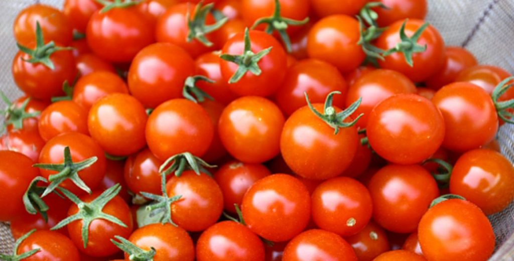 Επικό – Έμπορος έβαλε ταμπέλα πως… «απαγορεύεται το μασάζ στην ντομάτα» (φώτο)