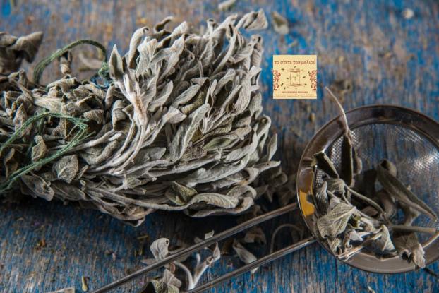 Το «θαυματουργό» φασκόμηλο – Πού βοηθάει (βίντεο)