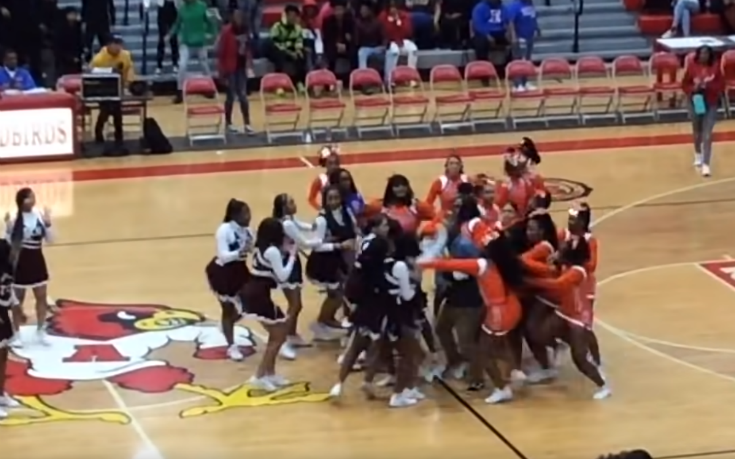 Σκηνές «απείρου κάλλους» στις ΗΠΑ: Χορεύτριες έπαιξαν ξύλο  σε αγώνα μπάσκετ